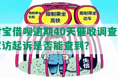 支付宝借呗逾期40天催收调查征信，家访起诉是否能查到？