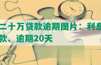 平安二十万贷款逾期图片：利息、每月还款、逾期20天