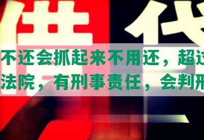 捷信不还会抓起来不用还，超过4年会上法院，有刑事责任，会判刑吗?