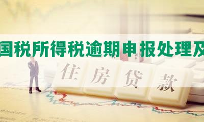 深圳国税所得税逾期申报处理及补报规定