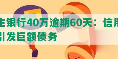 民生银行40万逾期60天：信用危机引发巨额债务