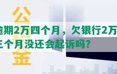 发逾期2万四个月，欠银行2万8逾期三个月没还会起诉吗？