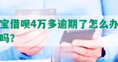 支付宝借呗4万多逾期了怎么办，会起诉吗？