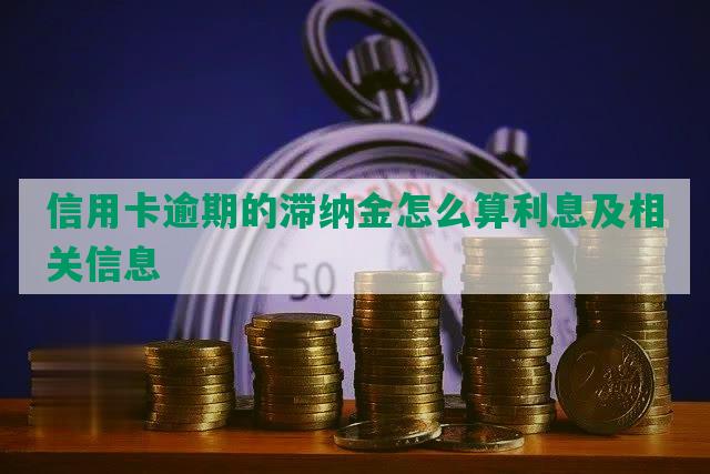 信用卡逾期的滞纳金怎么算利息及相关信息