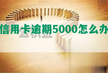 平安信用卡逾期5000怎么办及应对措