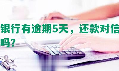 中信银行有逾期5天，还款对信用有影响吗？