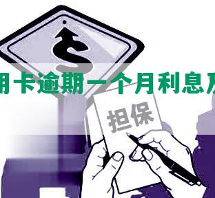 6万信用卡逾期一个月利息及1年利息