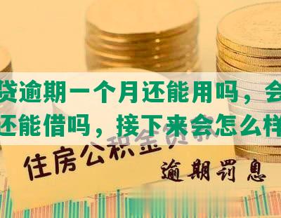 网商贷逾期一个月还能用吗，会怎么样，还能借吗，接下来会怎么样呢