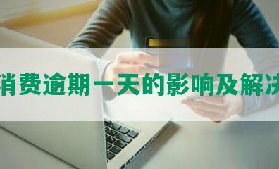 平安消费逾期一天的影响及解决方法