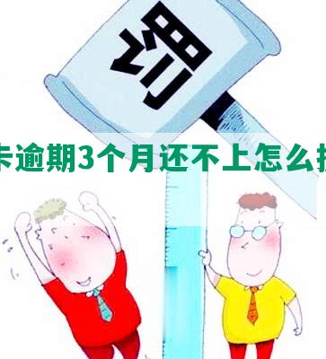 信用卡逾期3个月还不上怎么投诉和解决？