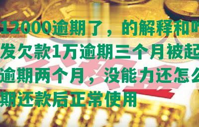 发欠12000逾期了，的解释和咋办，发欠款1万逾期三个月被起诉了，发逾期两个月，没能力还怎么办，发逾期还款后正常使用