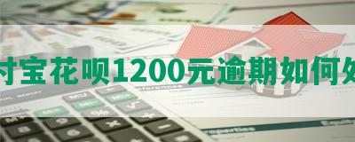 支付宝花呗1200元逾期如何处理