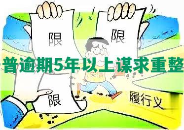 平安普逾期5年以上谋求重整计划