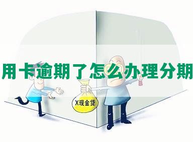 我信用卡逾期了怎么办理分期还款