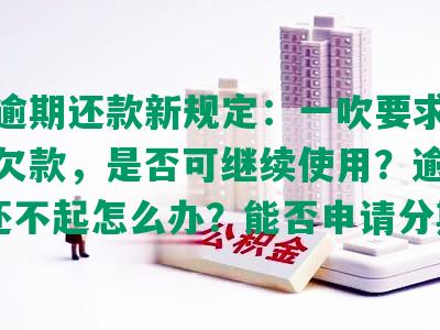 浦发逾期还款新规定：一吹要求一次性还欠款，是否可继续使用？逾期10天还不起怎么办？能否申请分期？