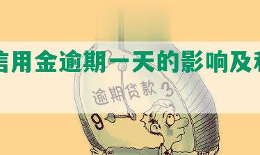 兴业信用金逾期一天的影响及利息情况