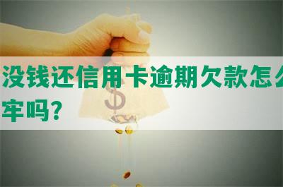 暂时没钱还信用卡逾期欠款怎么办，会坐牢吗？