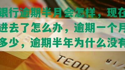 工商银行逾期半月会怎样，现在已经还不进去了怎么办，逾期一个月需要多还多少，逾期半年为什么没有催我了