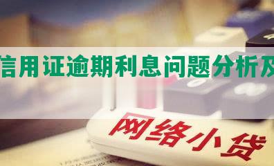 中国信用证逾期利息问题分析及应对措