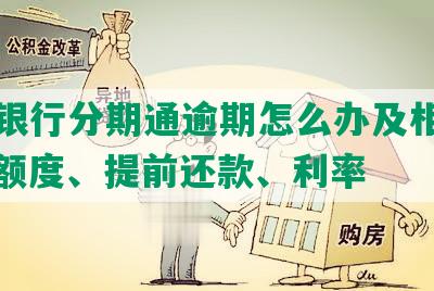 农业银行分期通逾期怎么办及相关业务、额度、提前还款、利率