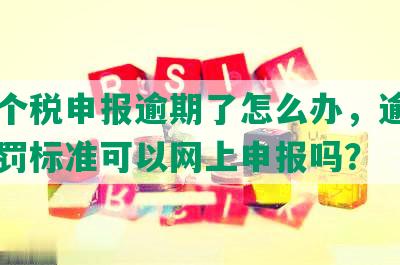 深圳个税申报逾期了怎么办，逾期申报处罚标准可以网上申报吗？