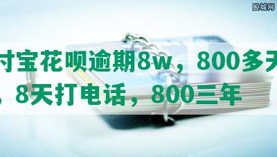 支付宝花呗逾期8w，800多天利息，8天打电话，800三年