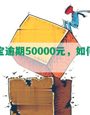 支付宝逾期50000元，如何处理？