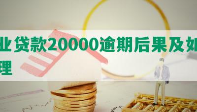 农业贷款20000逾期后果及如何处理