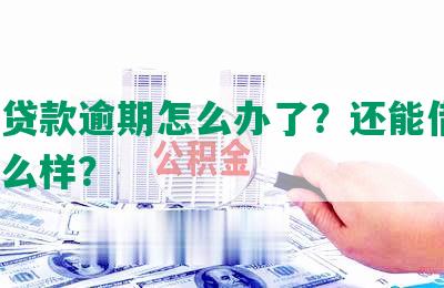 众安贷款逾期怎么办了？还能借吗？会怎么样？