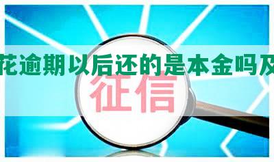 安逸花逾期以后还的是本金吗及相关问题