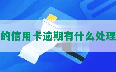 今年的信用卡逾期有什么处理方法