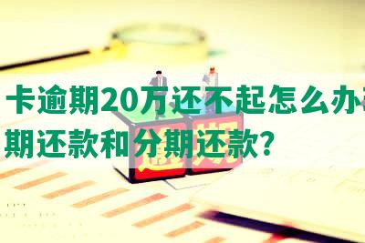 信用卡逾期20万还不起怎么办理房贷、期还款和分期还款？