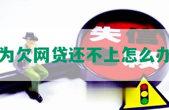 因为欠网贷还不上怎么办理