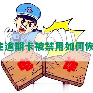 民生逾期卡被禁用如何恢复？