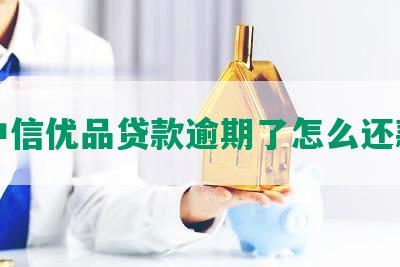 中信优品贷款逾期了怎么还款