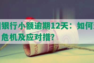 中国银行小额逾期12天：如何避免信用危机及应对措？