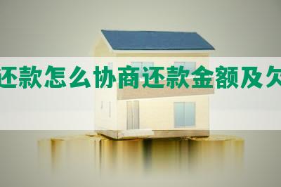 网贷还款怎么协商还款金额及欠款协商