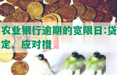 中国农业银行逾期的宽限日:贷款逾期规定、应对措