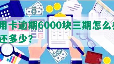 信用卡逾期6000块三期怎么办，应还多少？