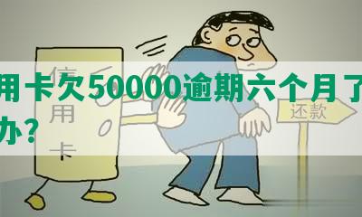 信用卡欠50000逾期六个月了怎么办？