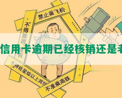 ‘信用卡逾期已经核销还是老吗’