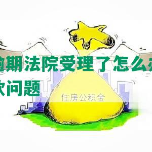 信用卡逾期法院受理了怎么办理期还款及还款问题