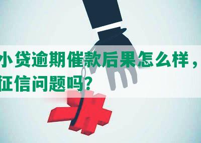 众安小贷逾期催款后果怎么样，逾期会有征信问题吗？