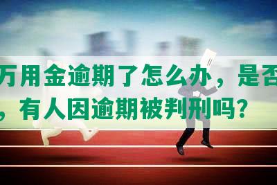 上海万用金逾期了怎么办，是否会上征信，有人因逾期被判刑吗？