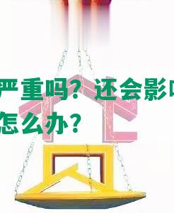 省呗没还严重吗？还会影响征信吗？不还借款怎么办？