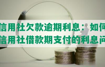 农村信用社欠款逾期利息：如何应对农村信用社借款期支付的利息问题？