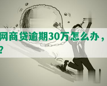 淘宝网商贷逾期30万怎么办，会起诉吗？