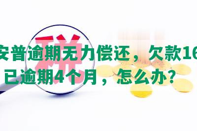 平安普逾期无力偿还，欠款16000，已逾期4个月，怎么办？