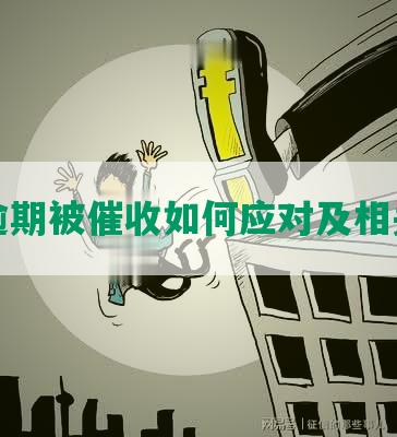 网贷逾期被催收如何应对及相关问题