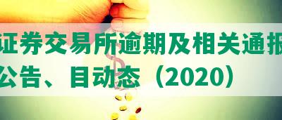 上海证券交易所逾期及相关通报、批评、公告、目动态（2020）